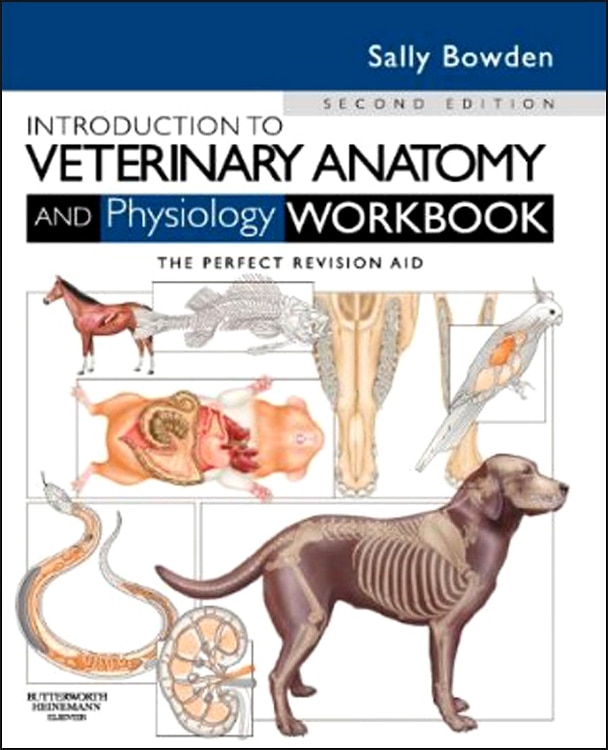 Front cover_Introduction to Veterinary Anatomy and Physiology Workbook