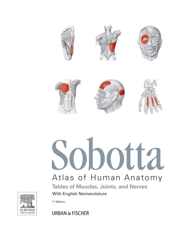 Couverture_Sobotta Tables of Muscles, Joints and Nerves, English