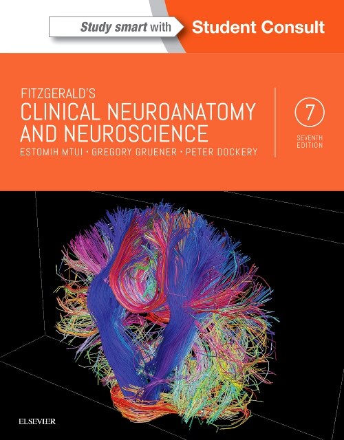Front cover_Fitzgerald's Clinical Neuroanatomy And Neuroscience