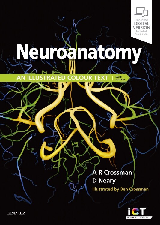 Front cover_Neuroanatomy