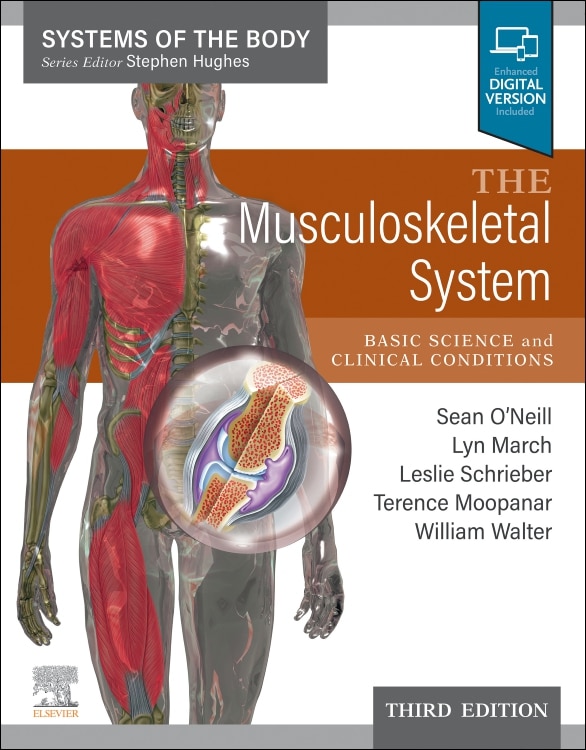 Front cover_The Musculoskeletal System
