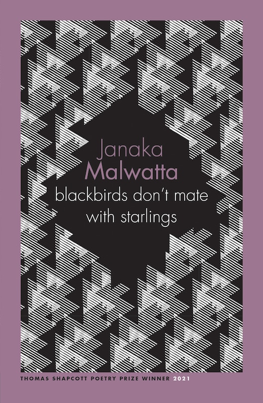 Front cover_blackbirds don’t mate with starlings