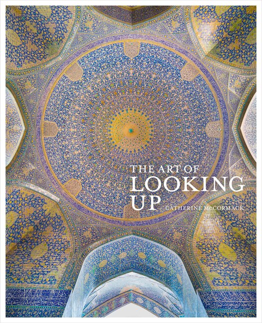 Front cover_The Art of Looking Up