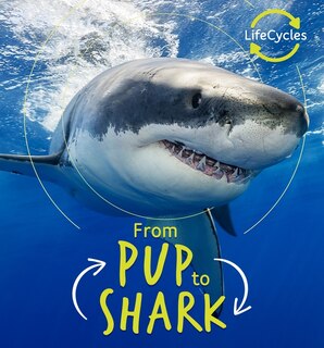 Front cover_From Pup to Shark
