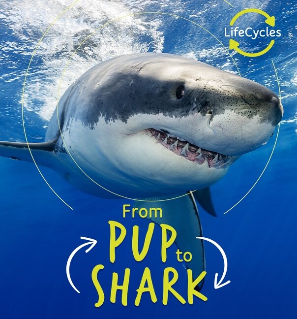 Front cover_From Pup to Shark