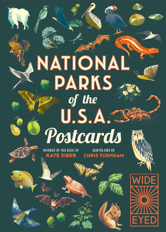 National Parks Of The Usa Postcards