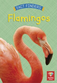Front cover_Flamingos
