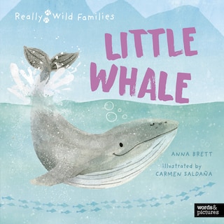 Little Whale: A Day in the Life of a Little Whale