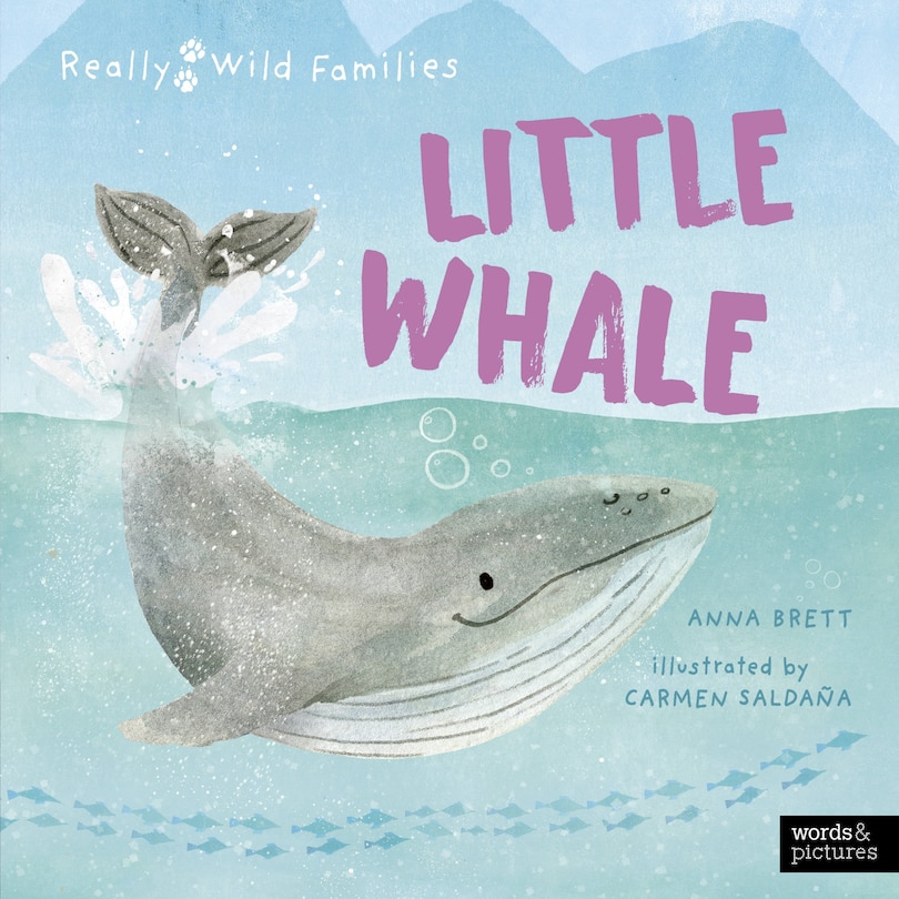 Front cover_Little Whale
