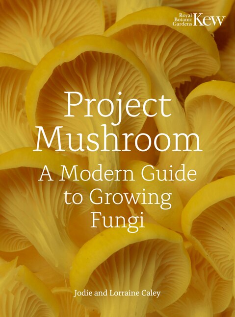 Front cover_Project Mushroom