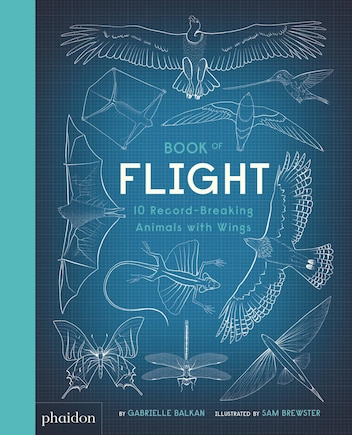 Book Of Flight: 10 Record-breaking Animals With Wings