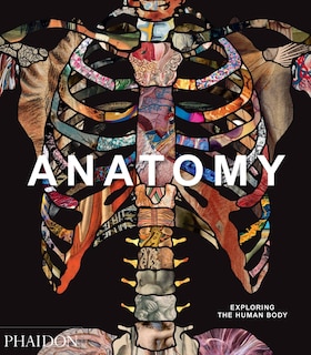 Anatomy: Exploring the Human Body