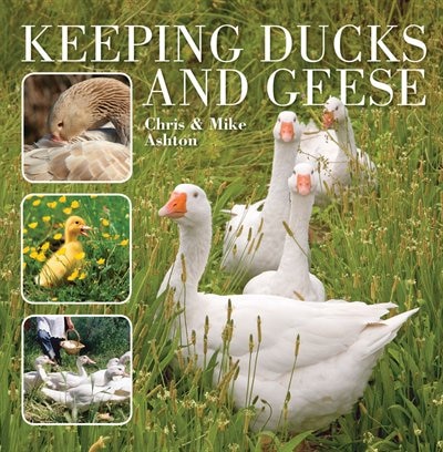 Keeping Ducks and Geese