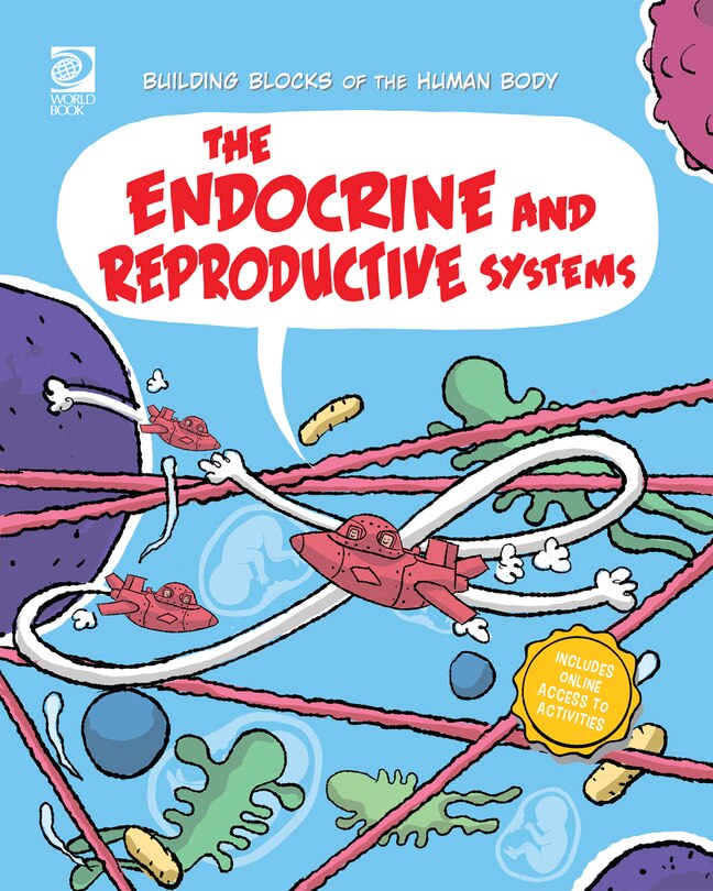 Front cover_The Endocrine and Reproductive Systems