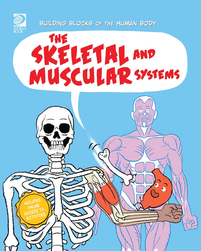 Front cover_The Skeletal and Muscular Systems