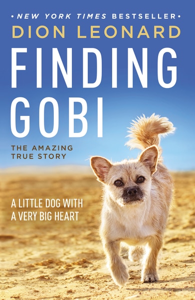 Front cover_Finding Gobi