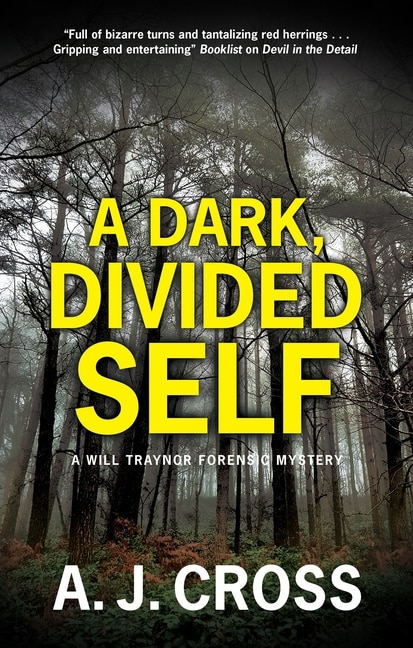 Front cover_Dark, Divided Self, A