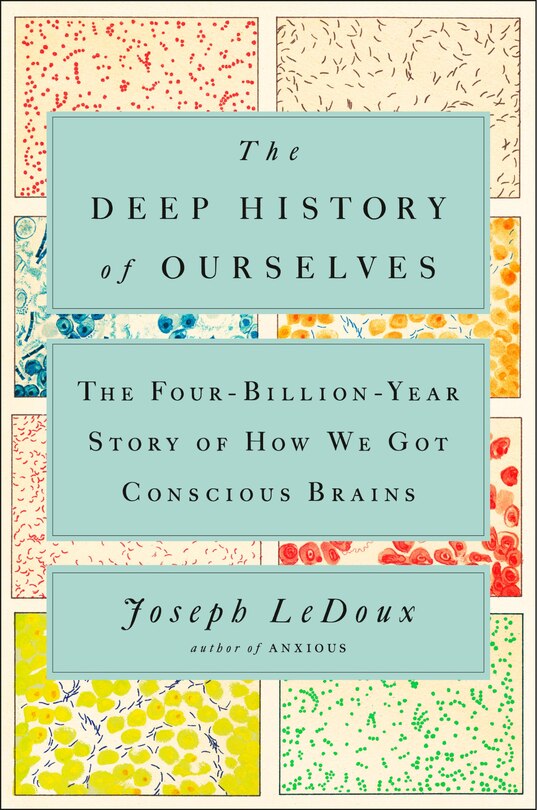 Front cover_The Deep History Of Ourselves