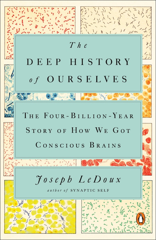Couverture_The Deep History Of Ourselves