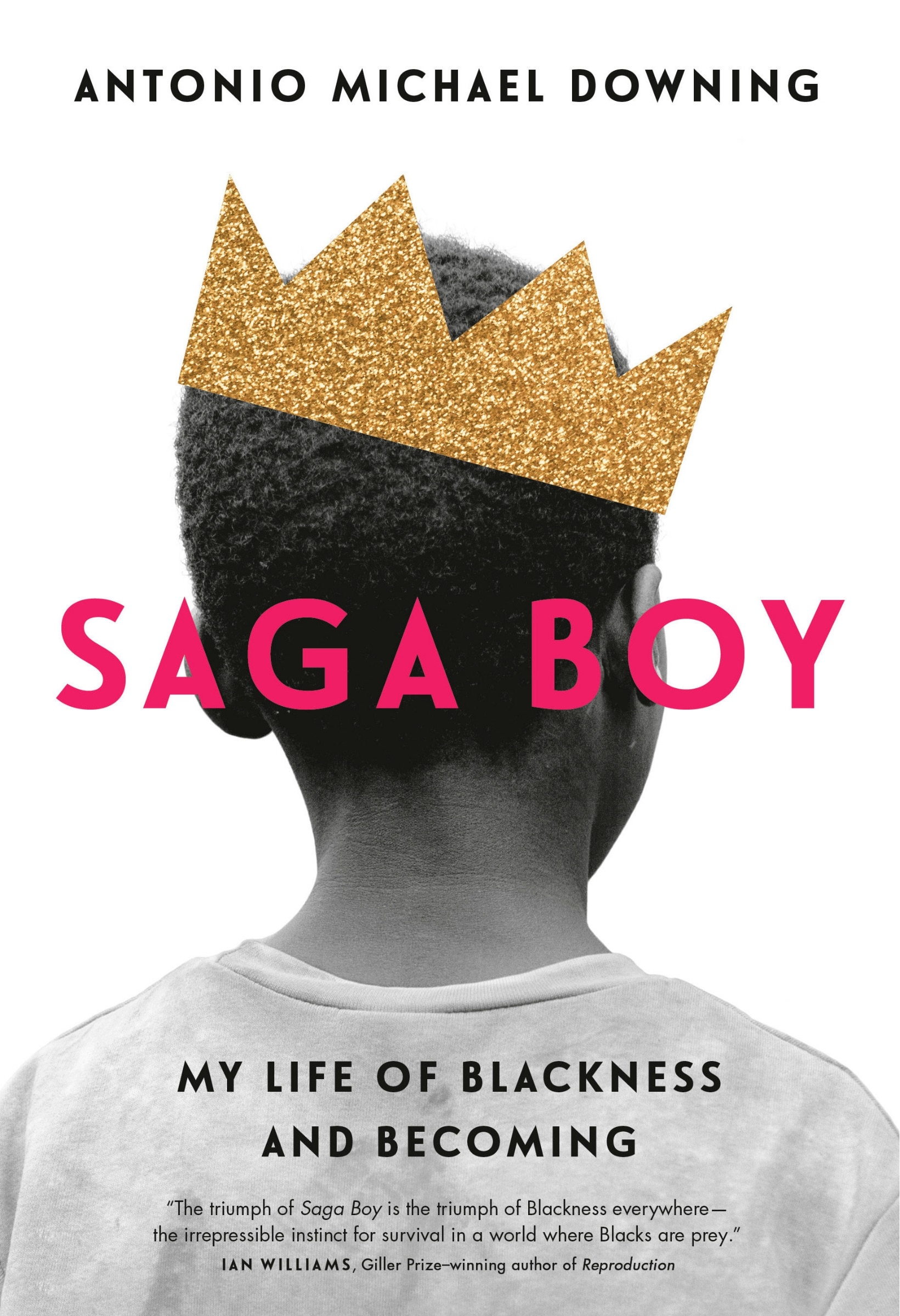 Saga Boy: My Life Of Blackness And Becoming Book By Antonio