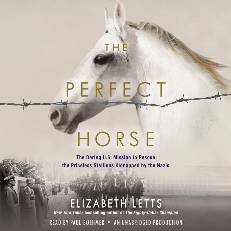 Front cover_The Perfect Horse
