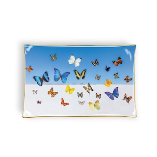 Front cover_Gray Malin The Butterflies Porcelain Tray