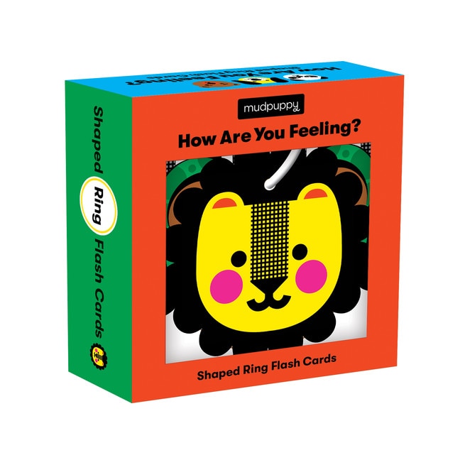 Front cover_How Are You Feeling? Shaped Ring Flash Cards