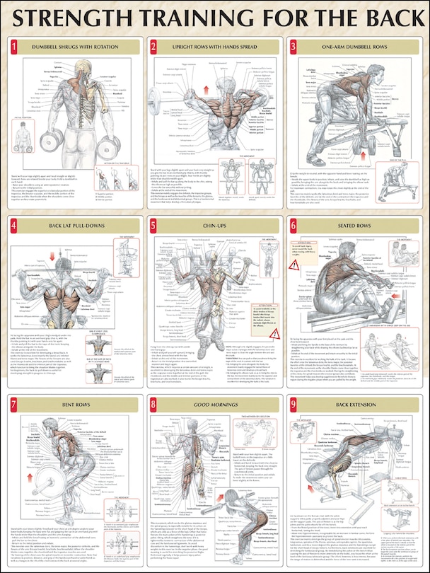 Front cover_Strength Training For The Back Poster