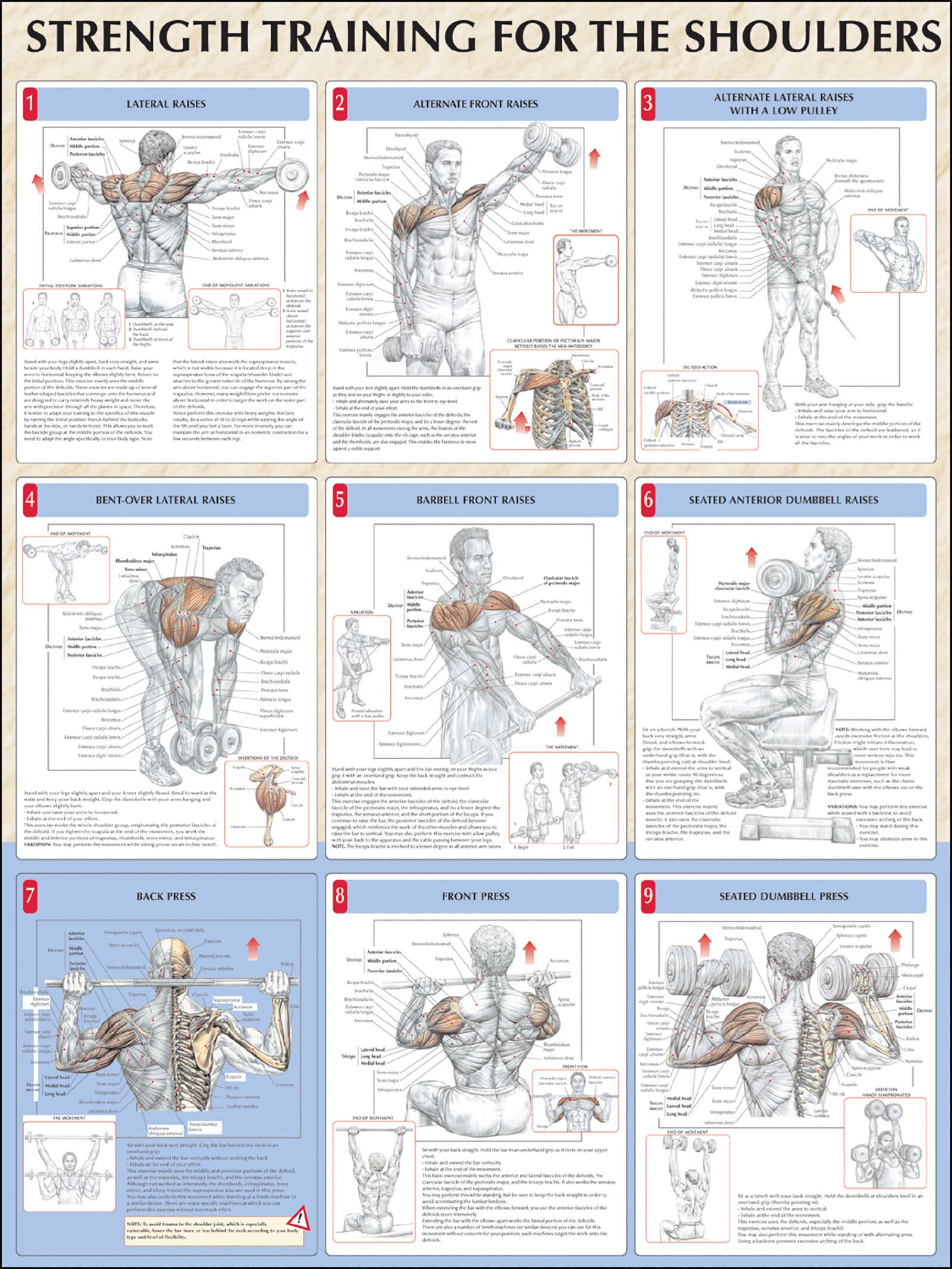 Strength Training For Shoulders Poster Book By Frederic Delavier oo Indigo