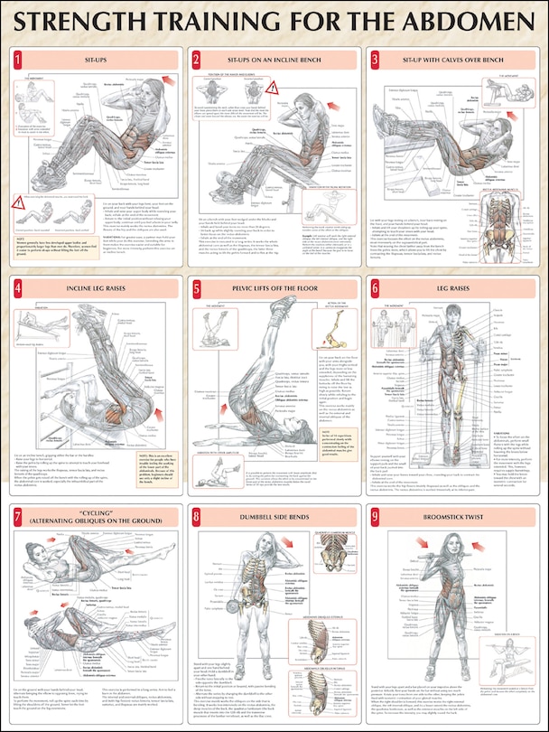 Front cover_Strength Training For The Abdomen Poster