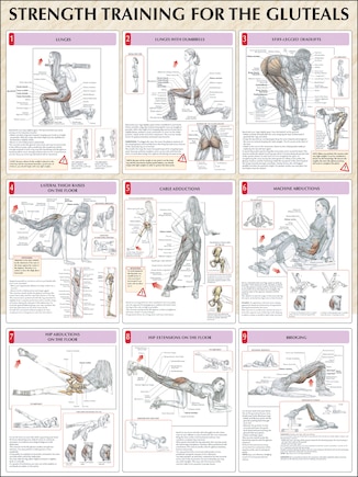 Strength Training For The Buttocks Poster