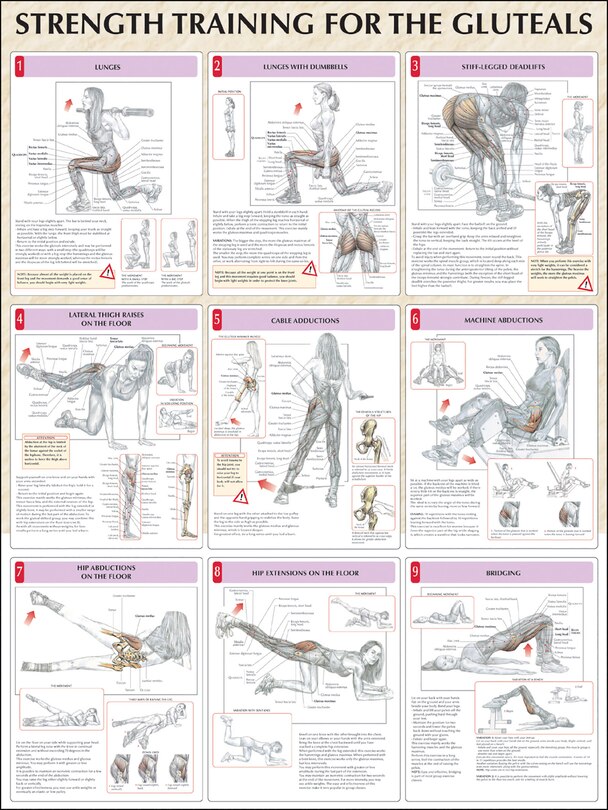 Front cover_Strength Training For The Buttocks Poster