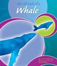 Couverture_The Life Cycle of a Whale