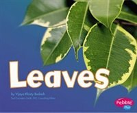 Couverture_Leaves