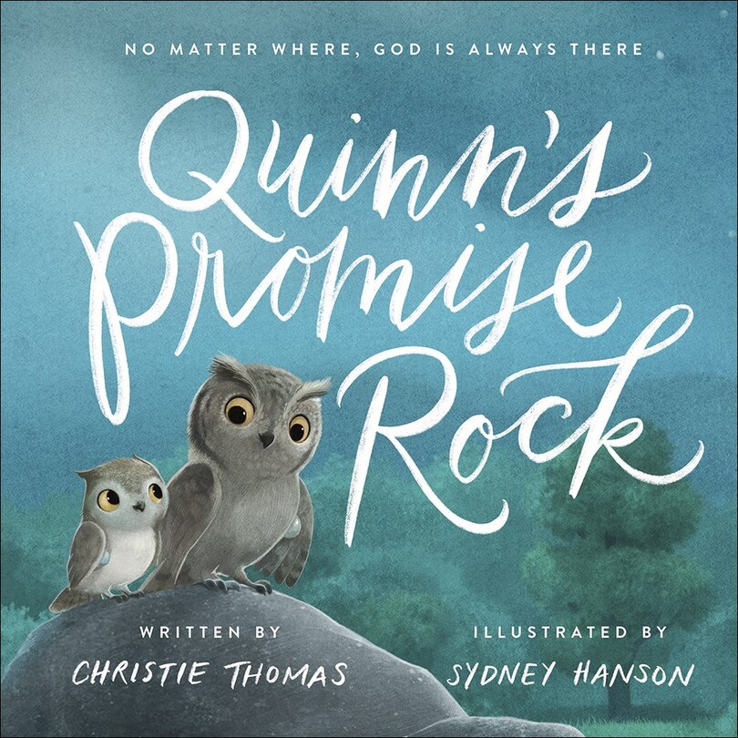 Front cover_Quinn's Promise Rock