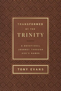 Front cover_Transformed by the Trinity (Milano Softone)
