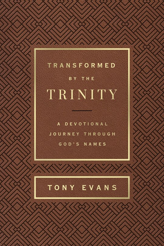 Front cover_Transformed by the Trinity (Milano Softone)