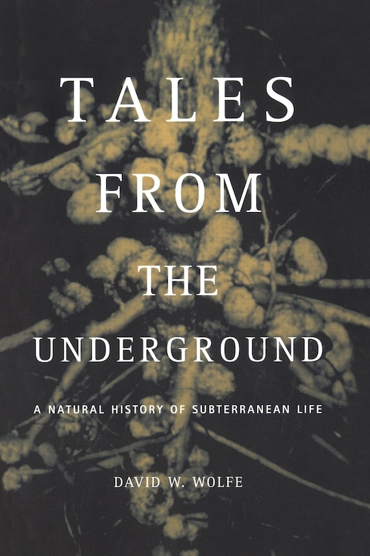 Front cover_Tales from the Underground