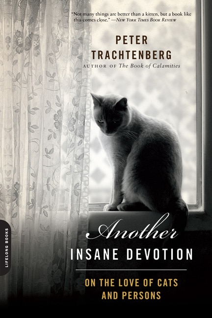Front cover_Another Insane Devotion