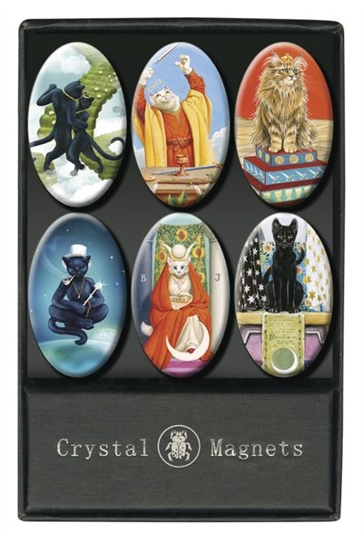 Couverture_Cat Magnet Set