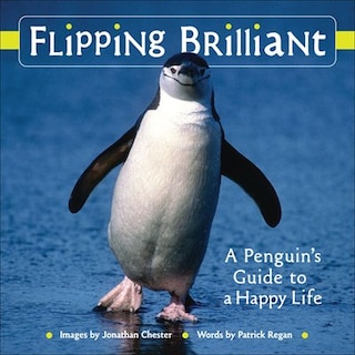 Front cover_Flipping Brilliant