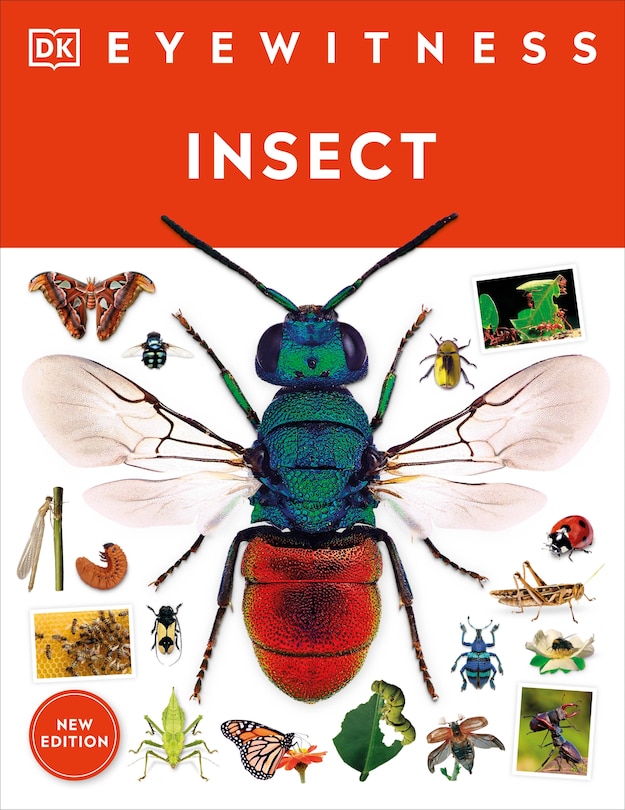 Front cover_Eyewitness Insect
