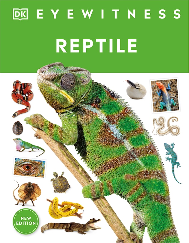 Couverture_Eyewitness Reptile