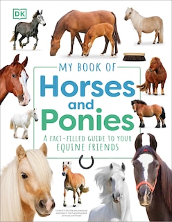 Front cover_My Book of Horses and Ponies