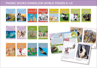 Couverture_Phonic Books Dandelion World Stages 8-15 (Words with Four Sounds CVCC)