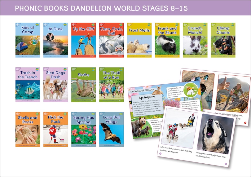 Couverture_Phonic Books Dandelion World Stages 8-15 (Words with Four Sounds CVCC)