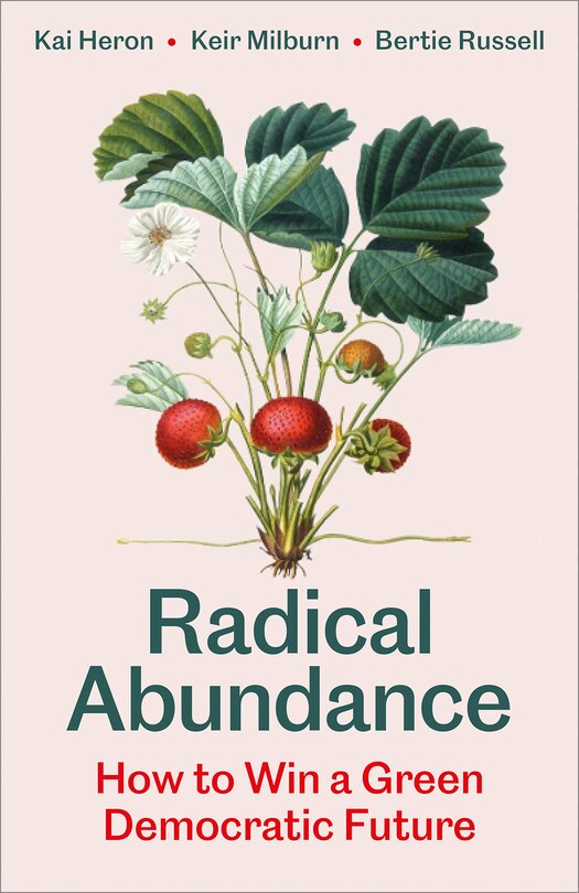 Front cover_Radical Abundance