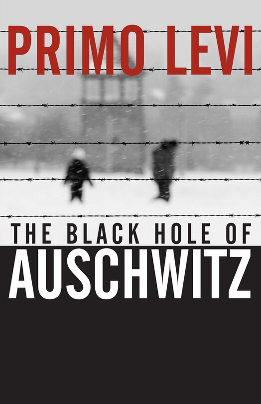 Front cover_The Black Hole of Auschwitz
