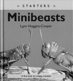 Read Write Inc. Comprehension: Module 24: Children's Book Mini Beasts
