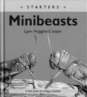 Read Write Inc. Comprehension: Module 24: Children's Book Mini Beasts